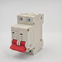 Interruptor Automático de Circuito de 2 Polos, 6A-63A, 220V CA, 50/60Hz, Tipo C, Capacidad de Ruptura de 6kA