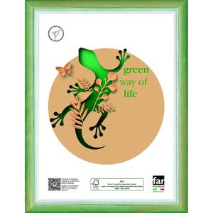 BATIK <b>FRAME</b> IN WOOD AND GREEN CRYLEX 21X29.7CM - Product Image 1