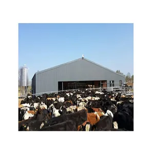 2023 हॉट सेल आधुनिक डिजाइन स्टील संरचना गाय पशु डेयरी दूध मिकिंग खेत बकरी खेती घर का निर्माण