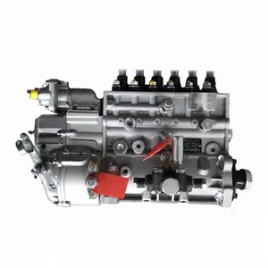 原装豪沃卡车零件喷油泵 VG1246080097