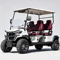 Voiturette de golf électrique 4 places, couleur personnalisée, sièges surélevés, tout-terrain, batterie au lithium, pour les centres de villégiature et les visites touristiques