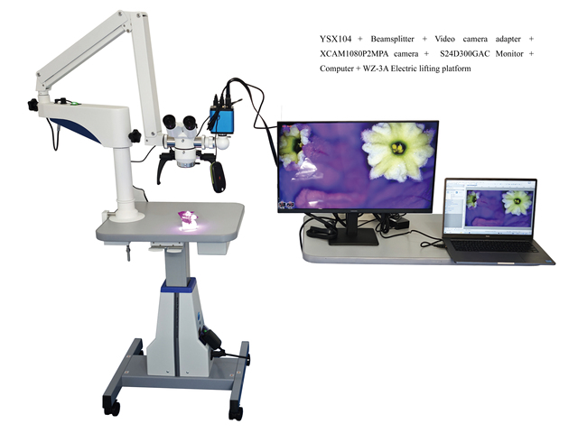 High-quality Electric Binocular Surgical Microscope 45-degree LED Lighting Achromatic Design 6X Magnification for Dentistry ENT