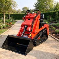 Mini Loader Bertenaga Bensin dengan Berbagai Pilihan Beban Terukur Garansi 1 Tahun untuk Mesin Konstruksi