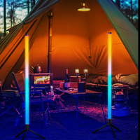 Lampe sur Pied Intelligente d'Angle pour Décoration d'Intérieur, Éclairage Moderne LED RGB
