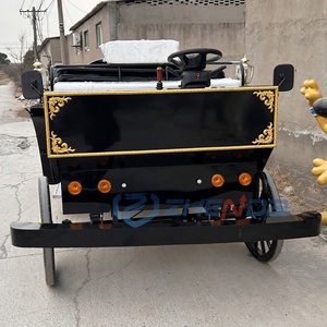 Black Luxury Electric Sightseeing Carriages Double-Row Horse Carriage Manufacturers Sell Well Low Prices - Product Image 4