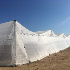 ตาข่ายดักแมลงป้องกัน<span class=keywords><strong>เพลี้ย</strong></span>ป้องกันยุงและแมลง - Product Image 1