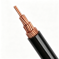 Cable de Transmisión de Energía Aéreo de Alta Tensión de Cobre JKVJ Personalizado, con Aislamiento de PVC, Resistente a la Intemperie, para Construcción