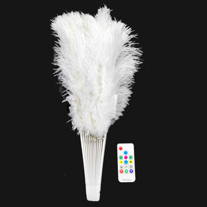 <span class=keywords><strong>2024</strong></span> plus récent promotionnel USB rechargeable LED artisanat pliable plume ventilateur à main Led ventilateurs de danse - Product Image 3