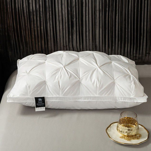 Collection d'hôtels Textile de maison Oreillers en plumes de <span class=keywords><strong>canard</strong></span> 50*50cm <span class=keywords><strong>Oreiller</strong></span> en <span class=keywords><strong>duvet</strong></span> Oreillers de conception d'<span class=keywords><strong>oie</strong></span> - Product Image 1