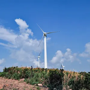 High quality Electricity by wind commercial big low speed horizontal axes electric generator household wind turbine 50kw