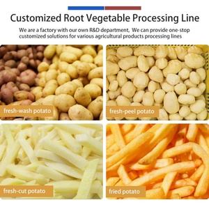 Línea de Procesamiento de Vegetales de Raíz Personalizada de Fábrica: Línea de Ensamblaje de Batata, Patata, Jicama y Taro - Product Image 5
