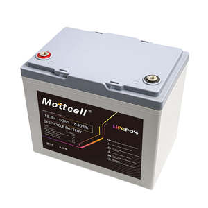 عربة LiFePO4 فوسفات V 50Ah مع بطارية ليثيوم ليثيوم للسيارات LiFePO4 - Product Image 3