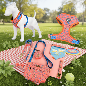 Ensemble collier et harnais pour chien MIDEPET, motif personnalisé, impression double face, polyester/nylon réfléchissant, Saint-Valentin - Product Image 1