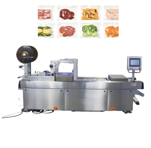 เครื่องบรรจุภัณฑ์สูญญากาศแบบเทอร์โมฟอร์มอัตโนมัติ รุ่น DZXL-420-300 ดีไซน์กะทัดรัด เหมาะสำหรับบรรจุอาหารหลากหลายประเภท - Product Image 1