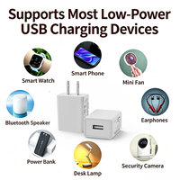 Charger Dinding USB 5V 1A Colokan US Bersertifikasi OTP/OVP FCC Ramah Lingkungan untuk Ponsel, Smart Watch, Universal
