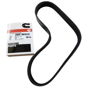 Courroie de moteur Cummins pour machines NT855/NTA855/N14, pièces d'origine CCEC, livraison gratuite, références 3805780/3040303/178376 pour bulldozer - Product Image 3