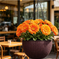 Grandes jardinières suspendues traditionnelles à double pot pour bonsaïs, auto-arrosantes, avec trou de drainage, durables, en plastique, pour intérieur et extérieur, maison et jardin