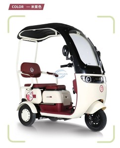 Equipo con Visores Solares y Cubiertas Impermeables para el Transporte de Triciclos Eléctricos para Adultos y Niños - Product Image 3