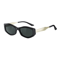 Lunettes de soleil hexagonales tendance en acétate avec pont métallique or/argent, logo de marque personnalisé, monture rétro petite, OEM ODM, directement de l'usine