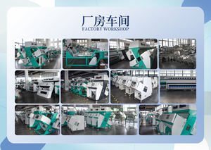 Mini trieur de couleur d'écrou Areca plus petit pour rejeter l'écrou Areca cassé noir foncé - Product Image 6