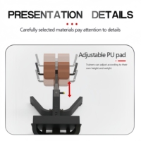 Plaque de musculation chargée machine utilisation commerciale pour la force d'exercice de gymnastique Extension du dos chaise romaine