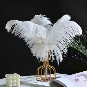 Plumes d'autruche colorées de qualité supérieure, 50-55 cm (20-22 po), pour costumes de carnaval et de festival - Product Image 4