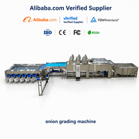 Hete Aanbieding: Zacht Aanvaardbare Multi-Stage Olijfsorteermachine voor Versfruitfabrieken