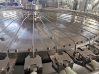 Machine à eau pure automatique efficace et facile à utiliser, haute productivité, ligne de production de boissons à engrenage pour animaux de compagnie étincelante