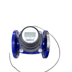 Pulse Large Diameter Variable Area <b>Water</b> <b>Meter</b> / <b>Flow</b> <b>Meters</b> Accurate Measurement Flanged Connectivity Class C Lorawan Pulse Lar - Product Image 2