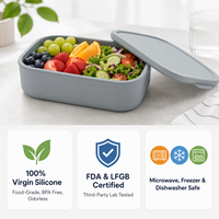 Boîte à bento en silicone de qualité alimentaire à compartiments, directement de l'usine, faible MOQ, support du dropshipping