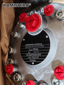 Pompe à piston hydraulique Hawe R3.3 250 bars PE14 Radial 6010 6011 Station, prix usine Kamishiro - Product Image 5