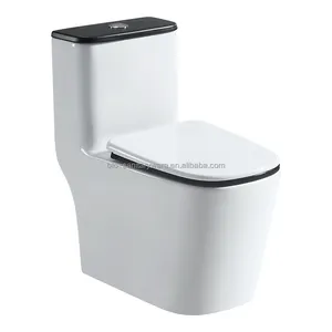 BTO Bathroom Wallhung Toilet Sanitary Ware Wc Inodoro P-trap Toilet 300mm Elongated 1 Piece Dual Flush Wall Hung