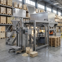 Machine de remplissage de sacs de 25 kg pour amidon et farine, et de 500 g pour assaisonnements épicés et condiments, avec doseur de poudre à vis sans fin pour céréales et aliments