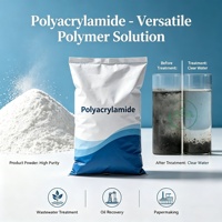 Polyacrylamide PAM polymère pour le traitement des eaux industrielles, floculant chimique en poudre, haute viscosité