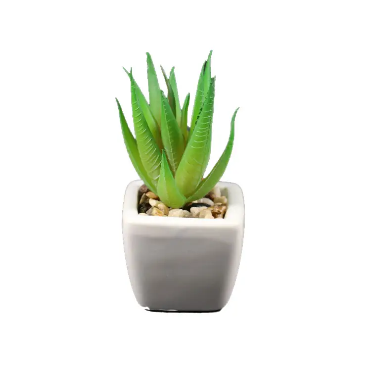 มินิประดิษฐ์ Aloe Plant Pick สีเขียวสำหรับ Bonsai Succulent