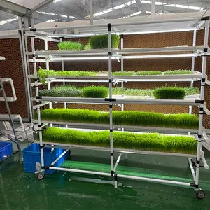 2023 haute-rendement paddy microgreen à effet de serre ravin gouttière pvc nft canal en plastique hydroponique garden grow systèmes
