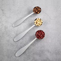 Lot de cuillères doseuses personnalisées en acier inoxydable 304 pour thé, café, matcha, pâtisserie, lait et poudre de fruits