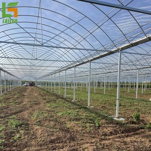 Special <strong>Greenhouse</strong> for Mushroom Cultivation Agricultural <strong>Greenhouse</strong> with <strong>Shelve</strong> and Films Free <strong>Greenhouse</strong> Design - Product Image 5