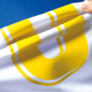 Parches Termoadhesivos Personalizados, Etiquetas de Transferencia de Calor, Diseño a Granel, Logotipo HTV, Vinilo Impreso DTF, Plastisol, Números de Uniformes de Fútbol, Adhesivos de Marca - Product Image 4