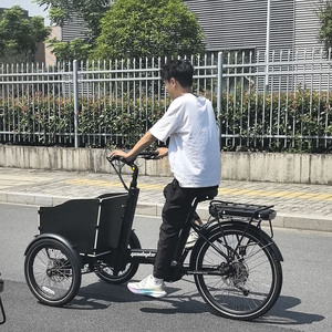 Triciclo Eléctrico de 25 km/h con Motor Central de 48V 250W, Capacidad de Carga de 100-200 kg, Cuadro de Aleación y <span class=keywords><strong>Desviador</strong></span> Hidráulico, Cumple con las Leyes de la UE - Product Image 1