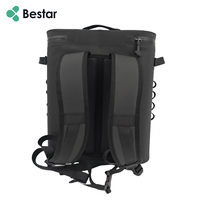 Sac à dos isotherme portable 32L en TPU anti-fuite avec logo personnalisé, écologique, pour le déjeuner, le vin et la bière, motif dessin animé pour les modernes