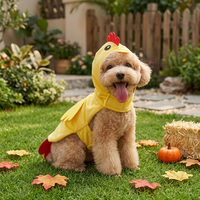 Costume d'Halloween pour animaux de compagnie, tenue amusante de poussin pour chiens, manteau en velours cristal doux, vêtements pour chiens toutes saisons, vente en gros