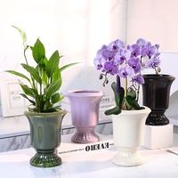 Pot Bunga Keramik Tinggi Gaya Prancis, Vas Dekoratif Phalaenopsis Bunga Buatan, Lubang Begonia, Wadah Kecil Transparan, Ornamen