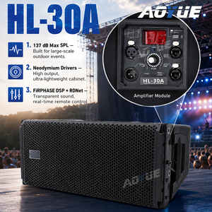ลำโพงไลน์อาร์เรย์ AOYUE HL-30A 1100W ขนาด 10 นิ้วคู่ พร้อมโมดูลแอมพลิฟายเออร์ DSP สำหรับเวทีและงานกลางแจ้ง - Product Image 1