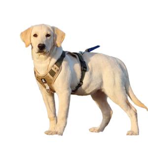 工場カスタム大型犬用ウォーキングベストハーネス、オックスフォード生地、リボン装飾、おしゃれなボタン、調節可能なパッド入り反射素材ペット用 - Product Image 1