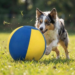 Palla da Gioco per Cani Pastori, Cavalli e Gatti, per Esterni, con Copertura in Nylon Resistente Rimovibile e Lavabile, con Pompa, Palla Anti-Scoppio - Product Image 4