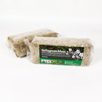 Engrais organique pour fleurs en pot Plantes succulentes Mousse de sphaigne séchée Nutrition hydratante Culture en verre Jardin moyen