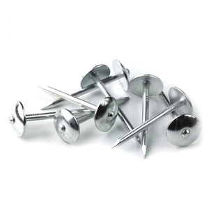 Clous de <span class=keywords><strong>bardeau</strong></span> en acier inoxydable ondulé <span class=keywords><strong>prix</strong></span> usine le moins cher - Product Image 5