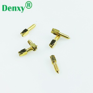 <span class=keywords><strong>Denxy</strong></span> dentale placcato oro in acciaio inox endodontico vite Post 240 pezzi e 2 chiavi materiali dentali per dentista strumento odontoiatrico - Product Image 1