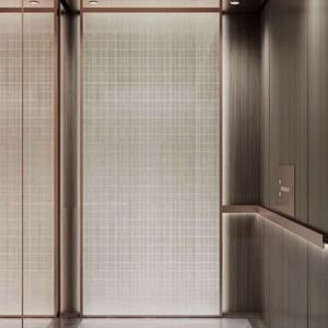 ลิฟต์โดยสารสำหรับบ้านพักอาศัยในโรงงานจีน พร้อมห้องโดยสาร - Product Image 5